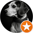 Criswell Simon profile picture